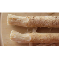 Miswak